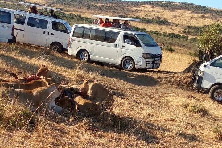 3 Days Budget Private Tour to Maasai Mara with Safari Van
