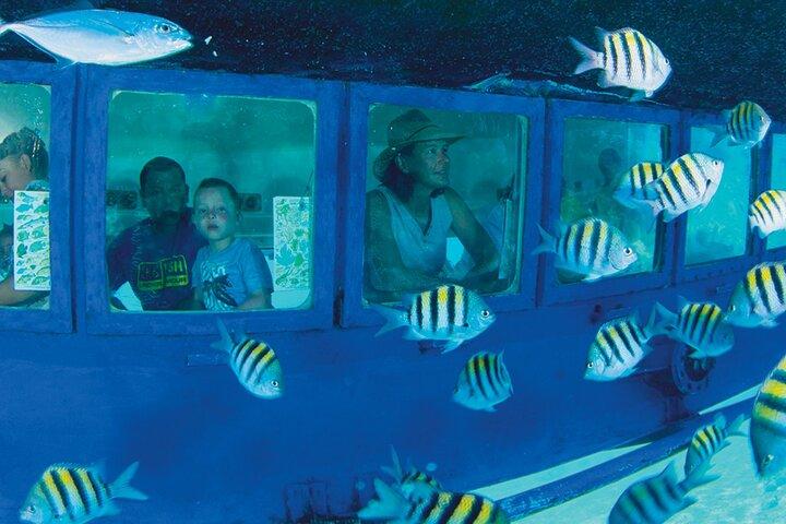 Hop-on Hop-off City Tour Cancun and Glass-Bottom Submarine