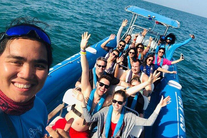 90-minute Sightseeing Speedboat Tour