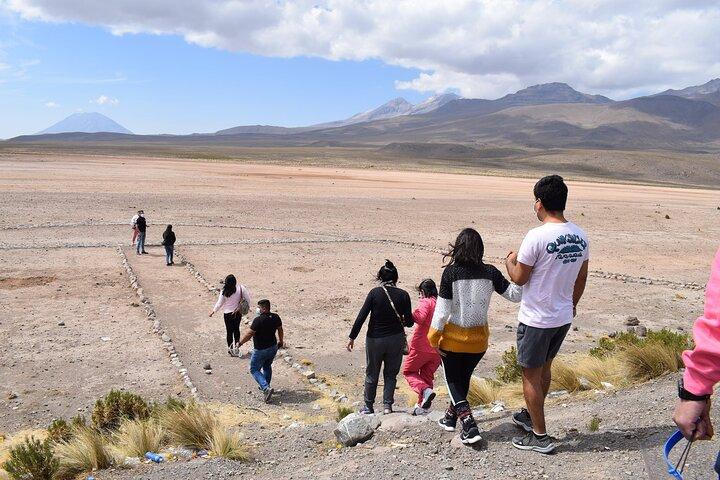 Colca Full Day