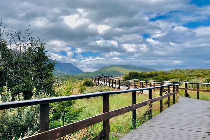 Tour to Tierra del Fuego National Park from Ushuaia