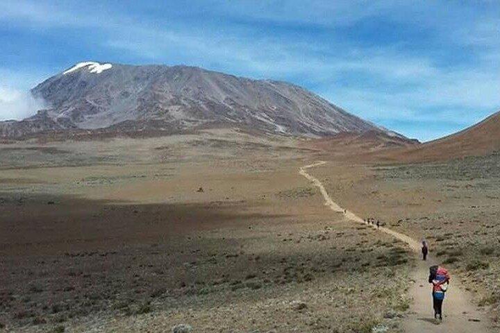 Mt Kilimanjaro Climb - 8 days Lemosho