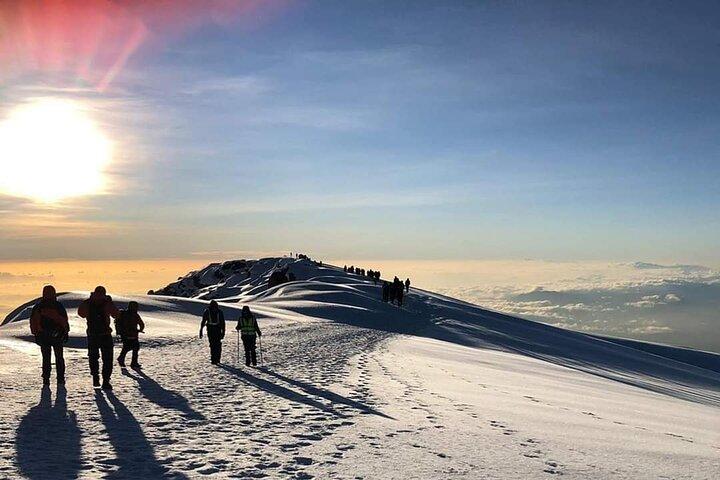 Kilimanjaro Climb - 7 Days Machame Route