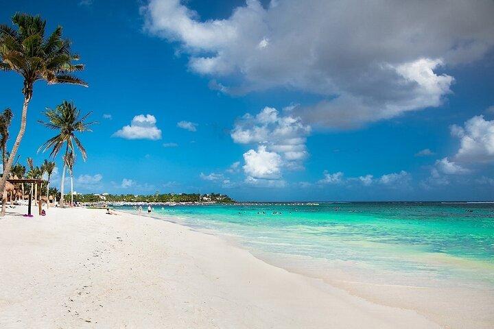 Amazing Adventure in Akumal: Swim with turtles & Tulum Ruins