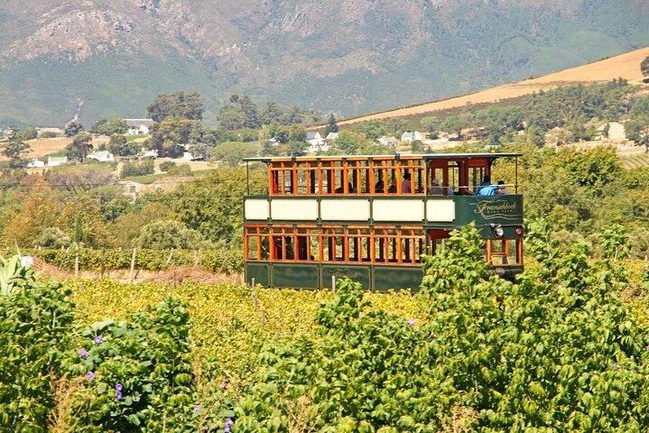 Taste + Tram the Winelands Tour: Franschhoek, Stellenbosch, Paarl