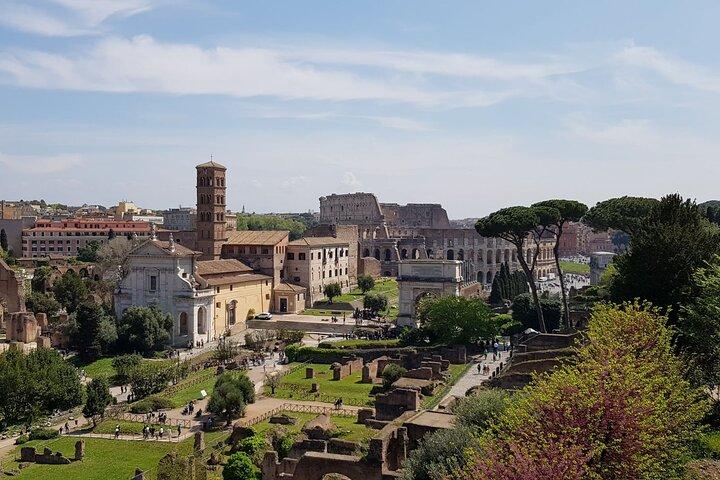 Rome Colosseum, Palatine Hill and Roman Forum Tour