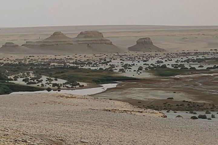 Wadi Al Hitan Day Trip From Cairo
