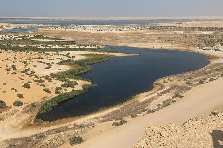 Wadi Al Hitan Day Trip From Cairo