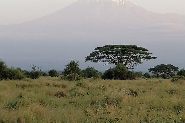 Private 6-Day Wildlife Photography Tour from Nairobi