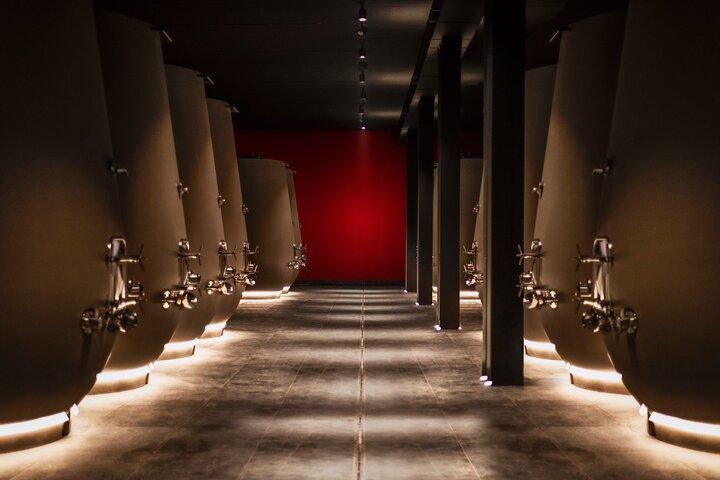 Verona area: Wine Tasting Experience in Valpolicella