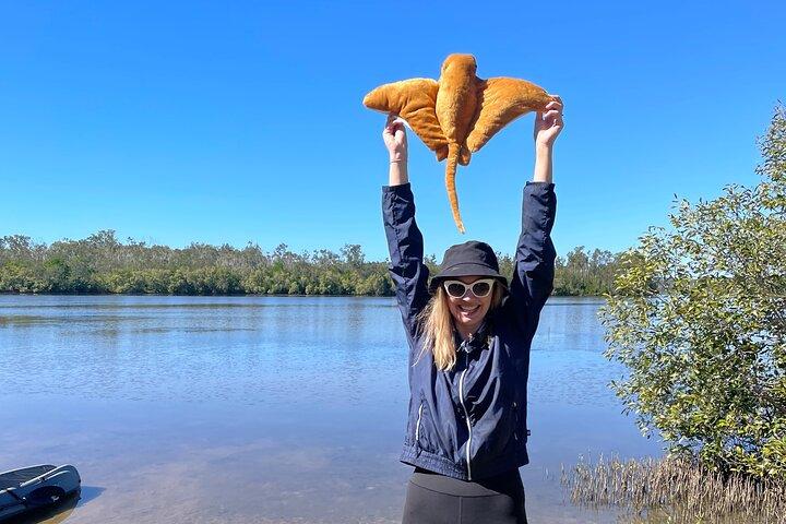 Noosa Everglade Kayak -South/Noosa End - Searching for Stingrays!