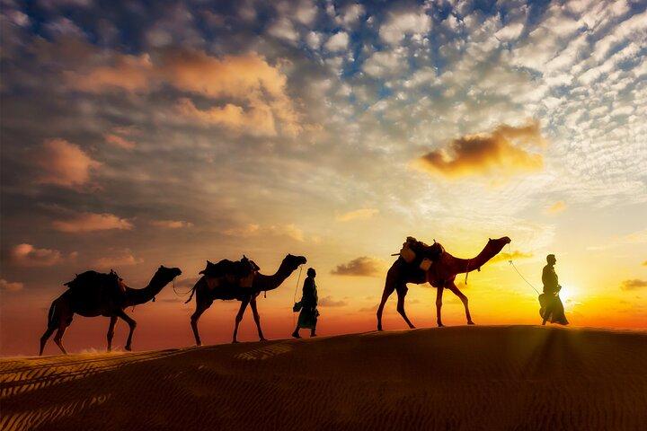 Sunset or Sunrise Camel ride in the Sahara Desert of Douz