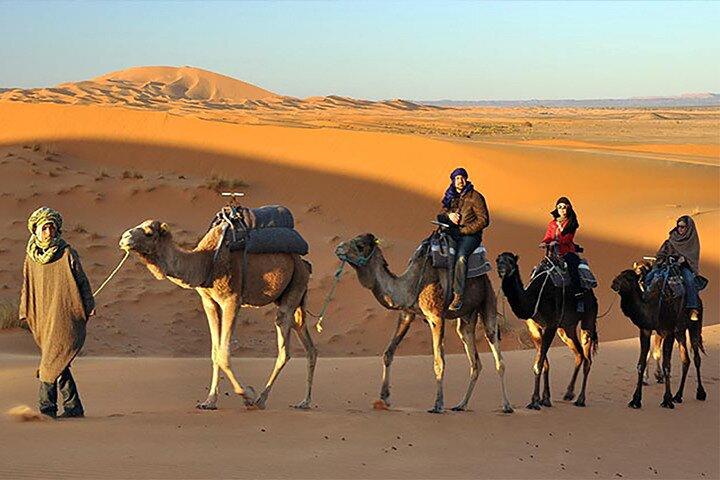 Evening Desert Safari Dubai with BBQ Dinner