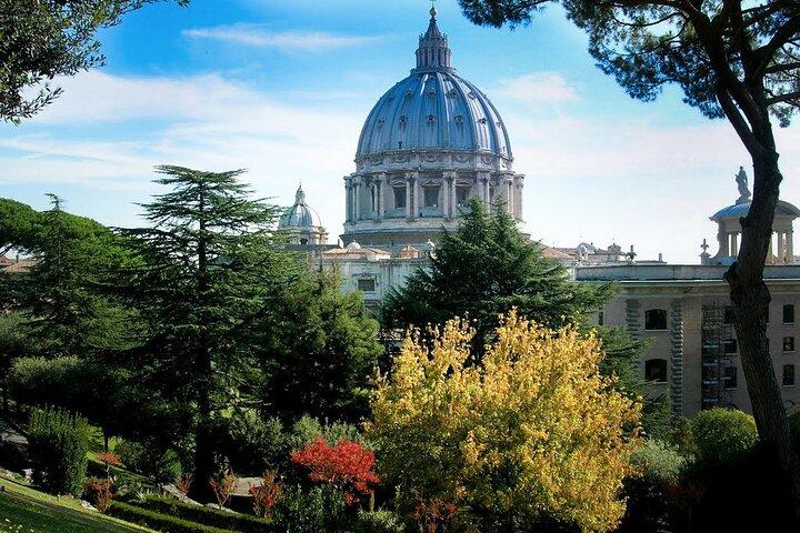 Official Private 4 Hour Vatican Tour with optional 1 way transfer