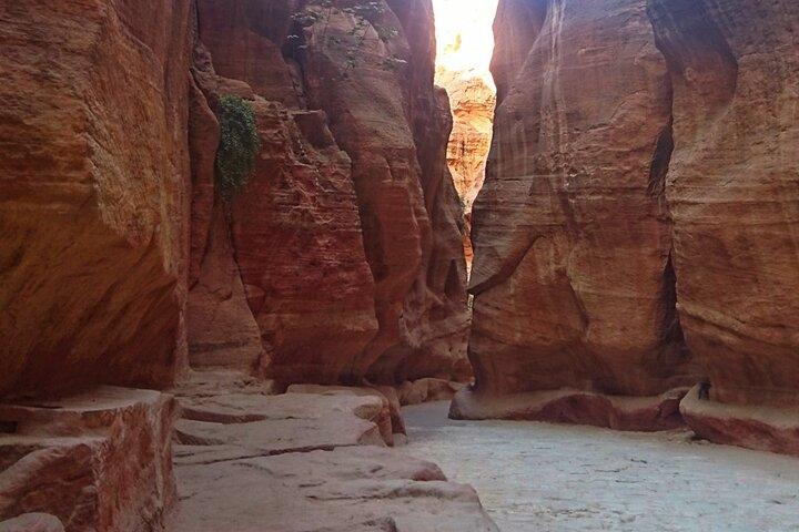 Petra Sightseeing day tour from Aqaba port