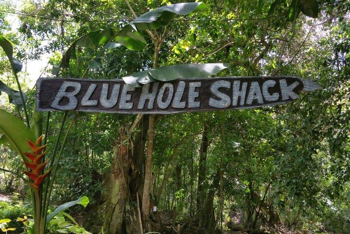 Blue Hole/Secert falls and Dunns River Combo Tour