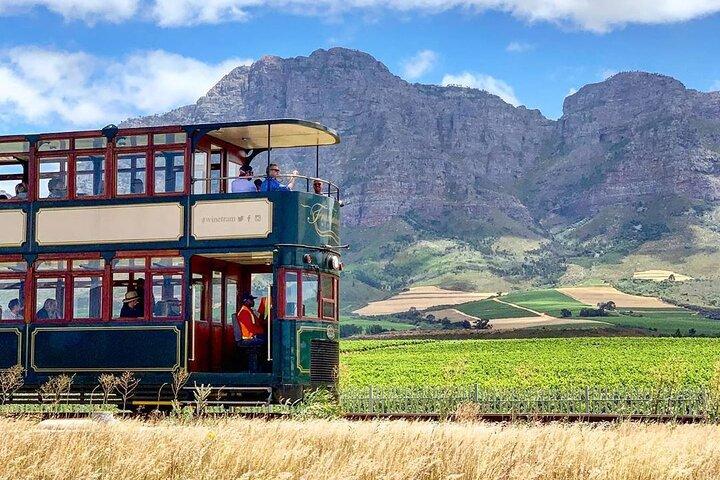 Taste + Tram the Winelands Tour: Franschhoek, Stellenbosch, Paarl
