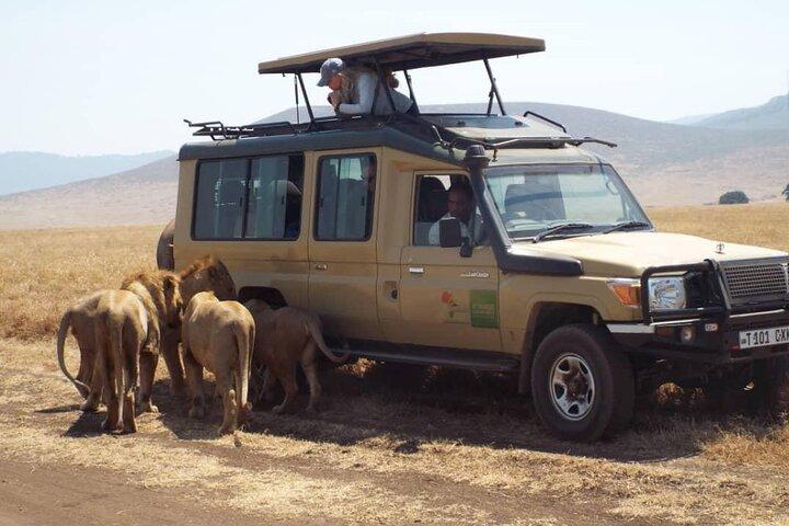 4 Days Tanzania Camping Safari