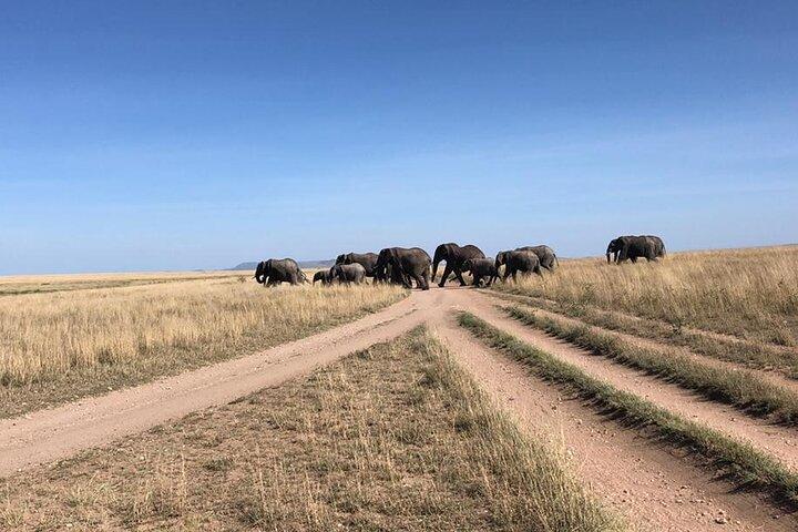 4 Days Tanzania Camping Safari