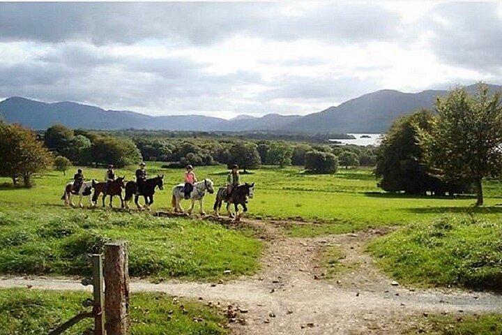 Killarney National Park Horseback Ride. Co Kerry. Guided. 3 hours.
