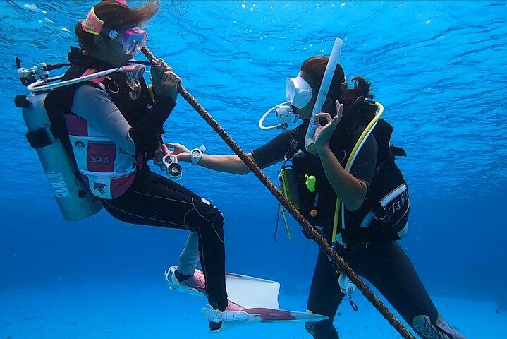 Naha: Full-Day Introductory diving & Snorkeling in the Kerama Islands, Okinawa