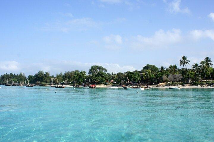 Private Dolphin Watching Experience in Zanzibar