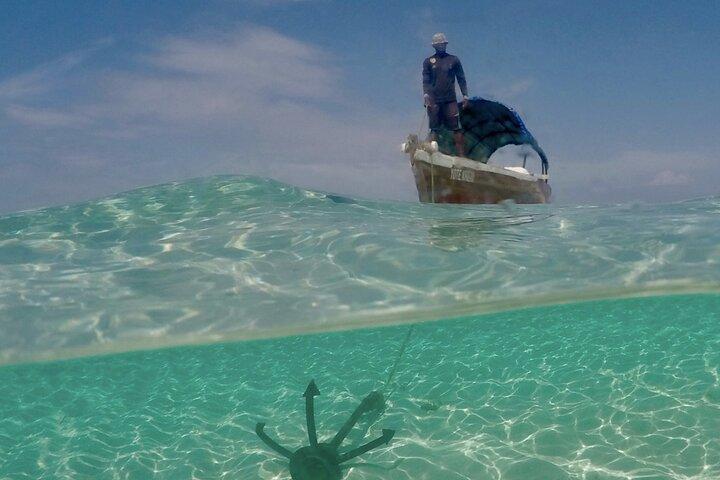 Private Dolphin Watching Experience in Zanzibar