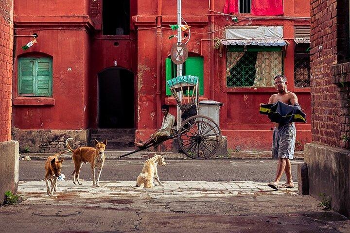 Cultural Confluence of Kolkata - Culture Kaleidoscope Tour
