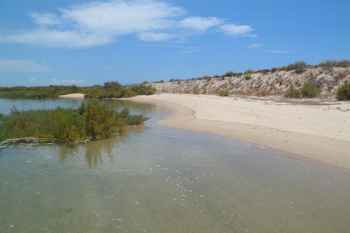 Faro Deserta and Farol Islands Tour in Ria Formosa
