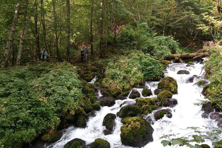 Private Full-Day Tour in Moraca and Tara Canyons, Durmitor & Biogradska Gora NP