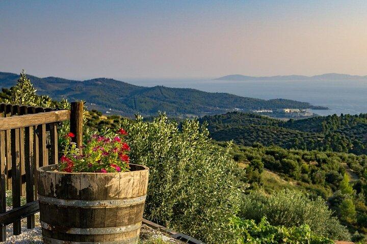 Halkidiki Experience: Private Tour to Sithonia from Thessaloniki