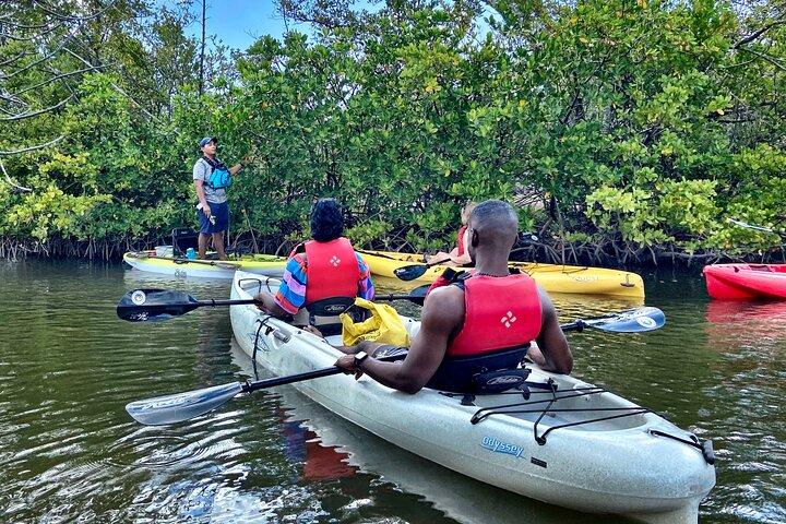 Mangrove Tunnel Kayak Eco Tour