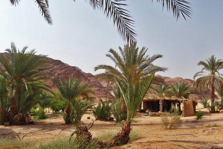 Colored Canyon Jeep Safari from Sharm El Sheikh Port