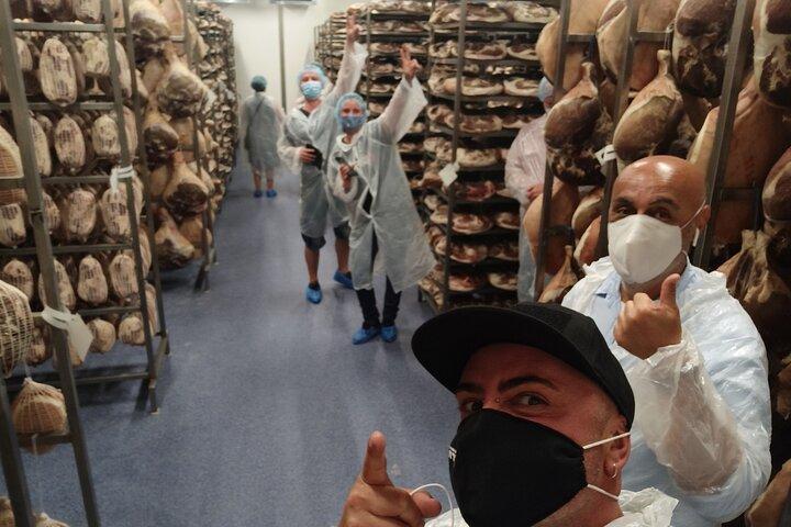 Prosciutto Factory 4-Hour Tasting Tour in Bologna