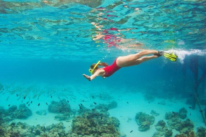 Blue Cave Full-Day Boat Tour with Hvar and 5 Islands