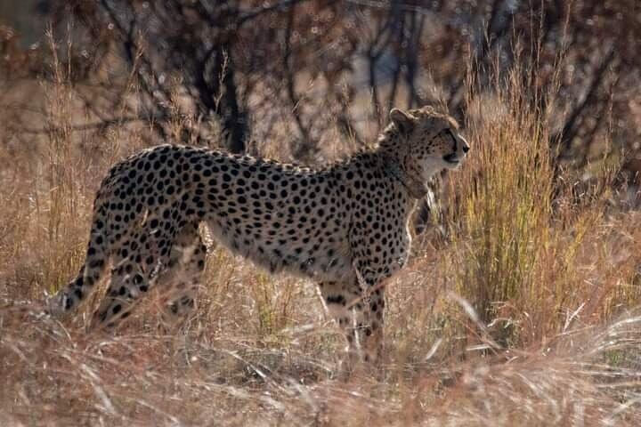 2 Day Kruger National Park Safari