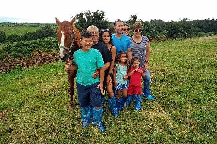 Half-Day Farm Visit and Cow Milking Experience