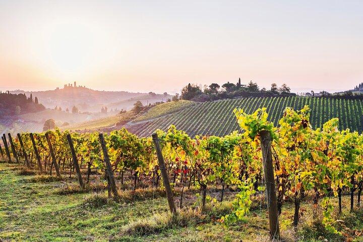 Florence: Siena, San Gimignano Wine Tasting & Lunch Private Tour