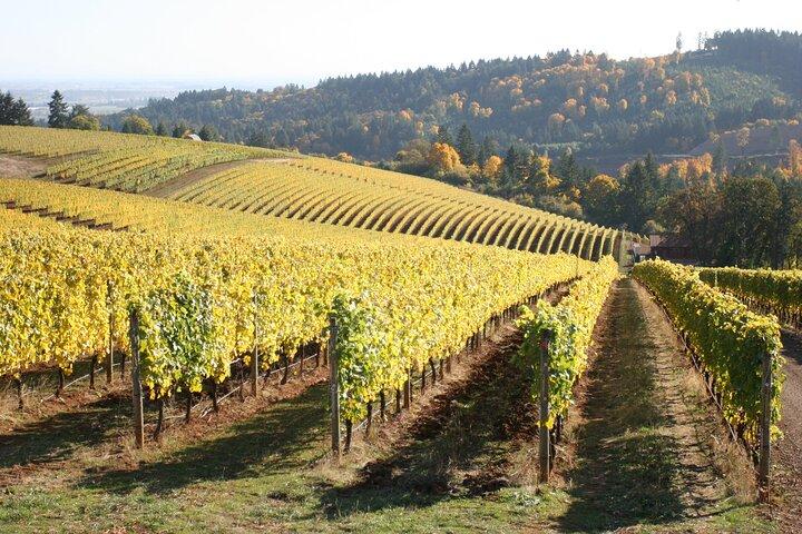 Small Group: Willamette Valley Wine Tour From Portland (Tasting Fees Included)