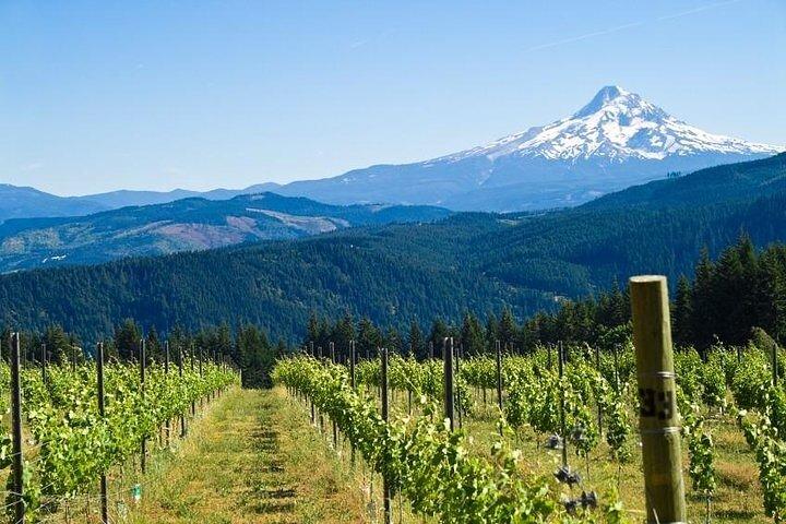 Columbia River Gorge Waterfall Tour from Portland