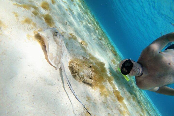 El Cielo Cozumel Snorkeling trip by Catamaran