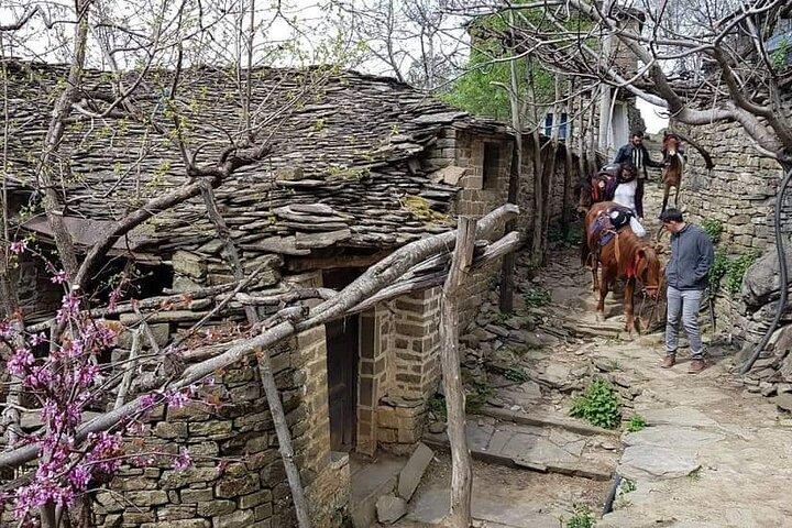 Amazing Horse Riding Experience at Vjosa National Park in Permet