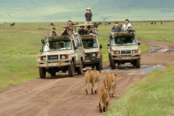 5-Day Lodge Safari Tanzania Tour