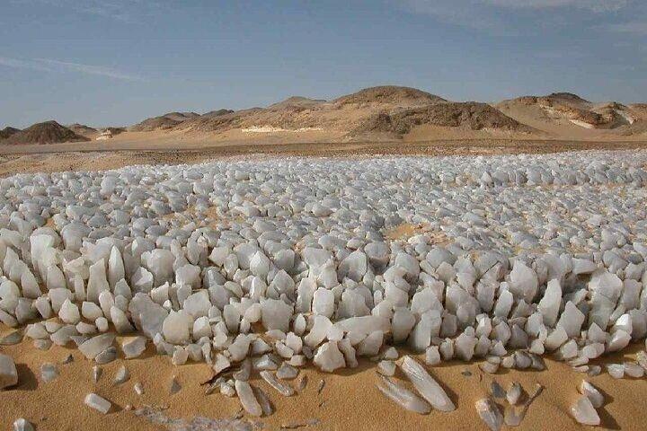 4 Days Private White Desert and Bahariya Oasis Tour