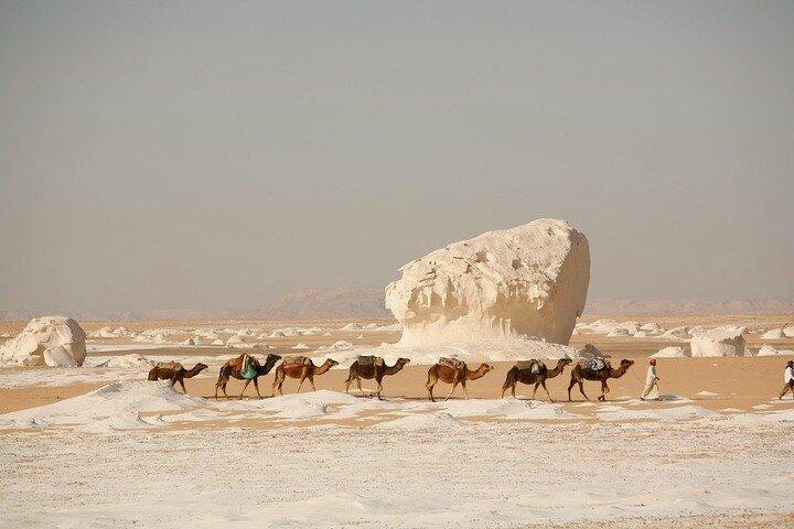 4 Days Private White Desert and Bahariya Oasis Tour