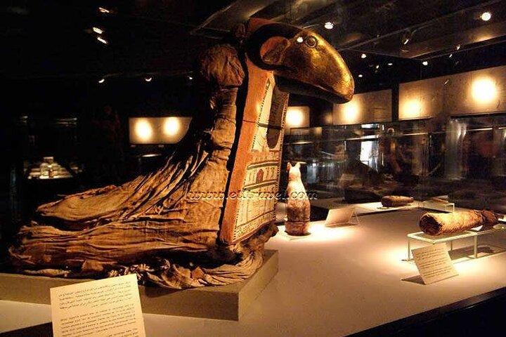 Half Day Tour Visit Luxor And Mummifications Museums