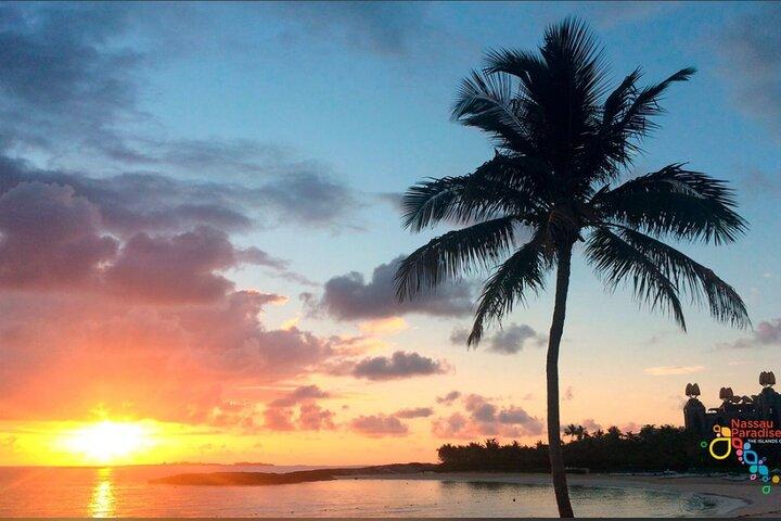 Private Round Trip Nassau (BahaMar & Atlantis)Surrounding Hotels