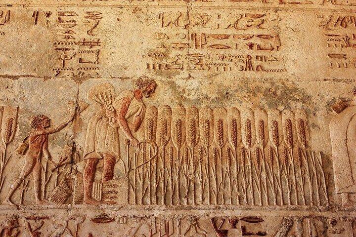 Full Day Tour To El Minya from Cairo