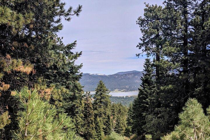 A Local's Favorite Hike in Big Bear with Lake Swimming Experience