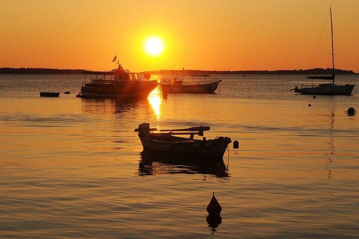 Private Transfer from Dubrovnik to Trogir with 2h of Sightseeing, local driver